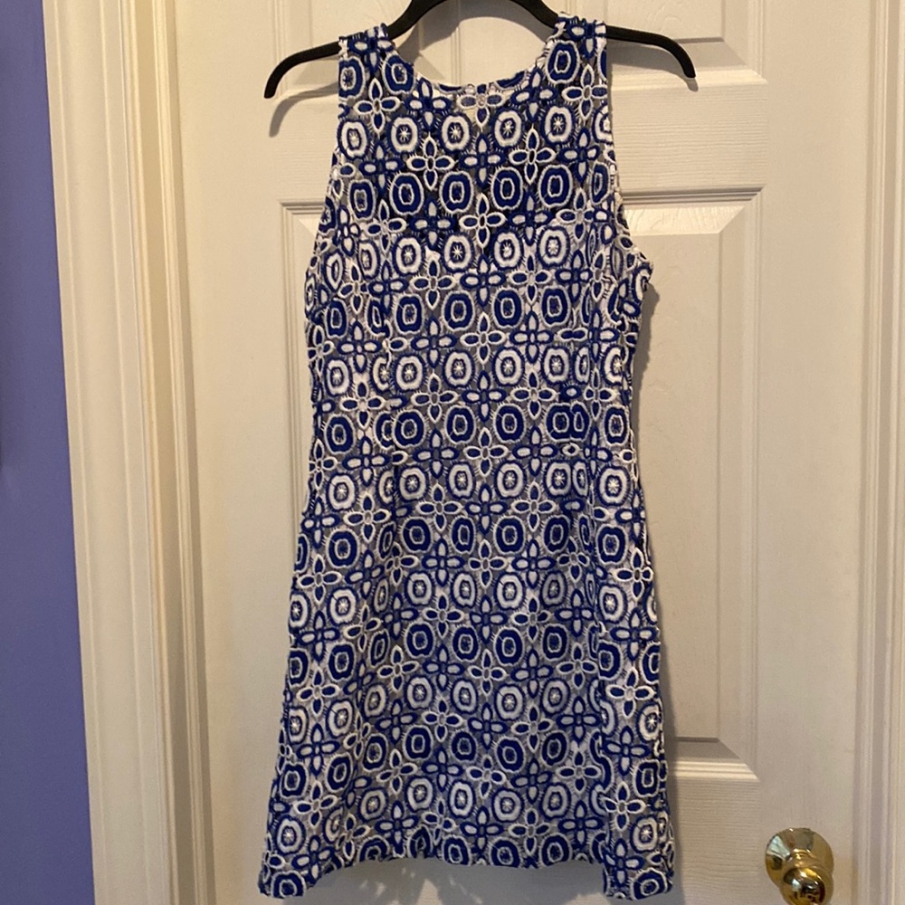Beautiful royal blue and white sleeveless dress- BB Dakota- size 8